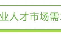 2022年中国职业人才市场需求分析