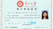 学位与学历的区别是什么？