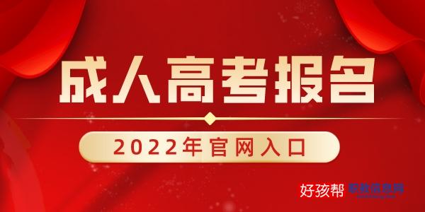 成人高考报名官网入口2024年